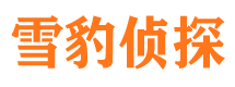 上街市调查取证